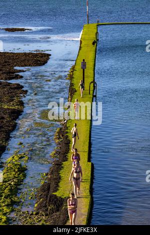 Foto-Shows: Schönes Wochenend-Wetter in Margate, als Badegäste den Walpole Bay Gezeitenpool nutzten. Schleichend entlang der rutschigen Moos beladen Themse Es Stockfoto