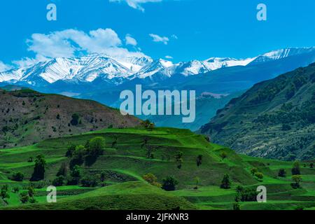 Landschaft von gebirgigen Dagestan mit terrassierten Feldern und schneebedeckten Gipfeln in der Ferne Stockfoto