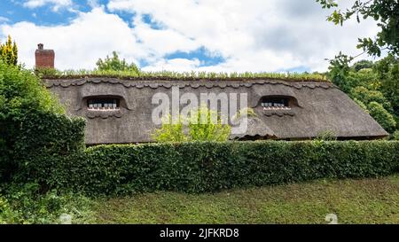 Ein Reethaus in der Normandie, am Ufer der seine, schönes Haus Stockfoto