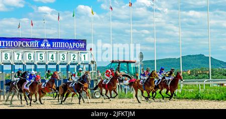 Starten Sie Pferderennen für den Preis der EICHEN Pyatigorsk Hippodrom, Nordkaukasus. Stockfoto