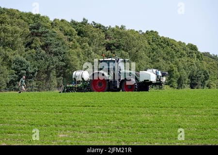 Fendt 720 Traktor Präzisionsspritzung Karotten Ernte Sutton Heath Suffolk England Stockfoto