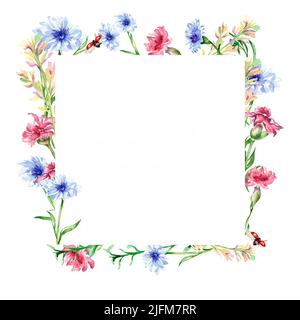 Rahmen mit Wiese bunte Blumen Aquarell Illustration isoliert. Wildblumen, blaue Kornblume, Marienkäfer handbemalt. Grasland Designelemente für Stockfoto