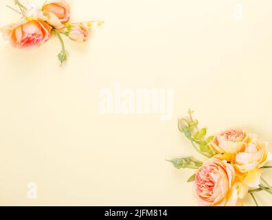 Rahmen aus orangen Rosen auf weißem Hintergrund. Stockfoto