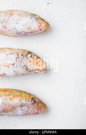 Gefrorener roher Fisch aus Ziegenfisch, auf weißem Steintischhintergrund, flache Lage von oben, mit Platz zum Kopieren von Text Stockfoto