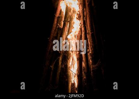 Feuer brennt in der Nacht. Blaze Feuer Flamme Textur Hintergrund. Feuer Flammen mit Holz und Lagerfeuer Stockfoto