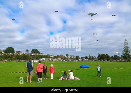 Während der Feierlichkeiten zum Maori-Neujahr im Fergusson Park, Tauranga, Neuseeland, blicken die Menschen auf einen Himmel voller Drachen Stockfoto