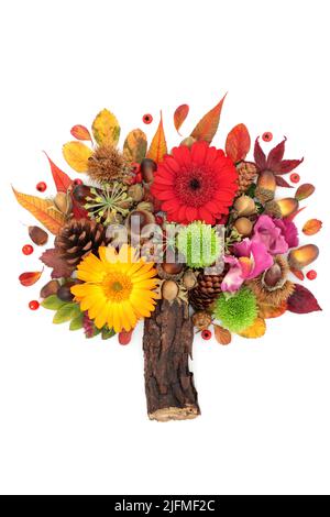 Abstraktes Design mit Blättern, Blumen, Beerenfrüchten und Nüssen im Herbst und Thanksgiving. Surreale Natur Herbst Zusammensetzung mit natürlicher Flora. Stockfoto