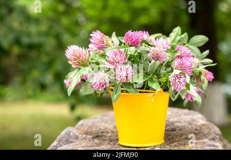 Strauß von wilden Blumen kevera in einem gelben Eimer auf einem Stein. Schöner violetter Strauß von kevera Blumen. Stockfoto