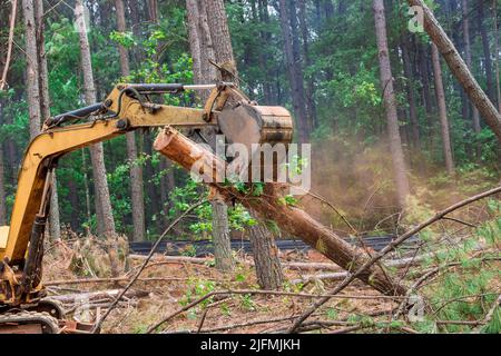 Während der Waldarbeiten hebt es die Baumstämme mit einem Traktor-Manipulator an Stockfoto