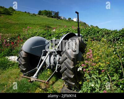 Ein kleiner grauer Fergie Ferguson TE20 Traktor in Port Gaverne, Cornwall. Stockfoto