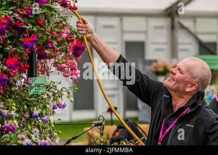 London, Großbritannien. 4.. Juli 2022. Last-Minute-Bewässerung im Hauptzelt - das 2022 RHS Hampton Court Palace Garden Festival. Kredit: Guy Bell/Alamy Live Nachrichten Stockfoto