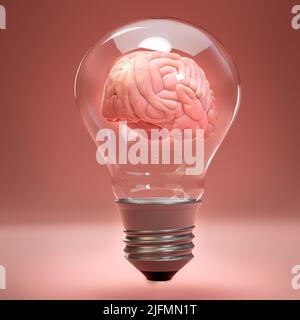 Menschliches Gehirn in einer Glühbirne. Konzept der Inspiration, Kreativität, Idee, Bildung, Innovation und Energie. 3D Rendern Stockfoto