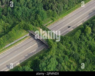 LUFTAUFNAHME. Wildtiere überqueren eine Autobahn. Epfig, Bas-Rhin, Elsass, Grand Est, Frankreich. Stockfoto