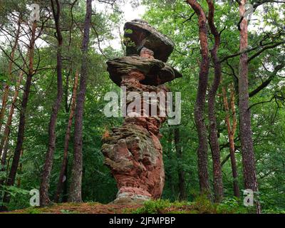 Sandstein-Hoodoo in den nördlichen Vogesen. Der Rocher de l'Homme in Dambach, Bas-Rhin, Elsass, Grand Est, Frankreich. Stockfoto