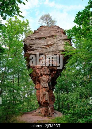 Sandstein-Hoodoo in den nördlichen Vogesen. Die Erbsenfelsen in Éguelshardt, Moselle, Grand Est, Frankreich. Stockfoto