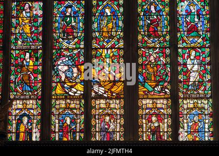 Das Jesse-Fenster, St. Mary's Church, Shrewsbury, Shropshire Stockfoto