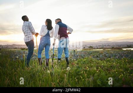 Junge Bauern stehen mit Rechen auf einem Feld und genießen ihre Pause. Freunde, die Spaß auf einem Bauernhof haben. Männer und Frauen machen sich bereit, frisch zu ernten Stockfoto