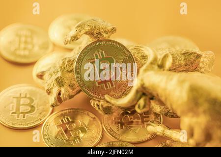 Bär und Stier kämpfen um Bitcoins vor goldenem Hintergrund. Markttrend-Konzept. Stockfoto