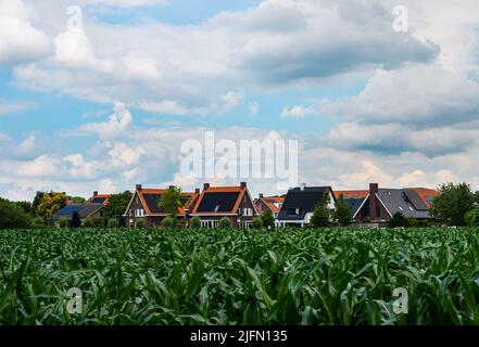 Sonnenkollektoren auf den Dächern der Häuser Stockfoto