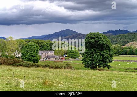 Die Landschaft in Eskdale mit harter fiel dominiert den Horizont an einem Sommertag, Lake District National Park Cumbria England Großbritannien Stockfoto