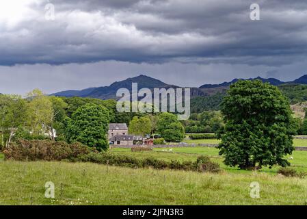 Die Landschaft in Eskdale mit harter fiel dominiert den Horizont an einem Sommertag, Lake District National Park Cumbria England Großbritannien Stockfoto