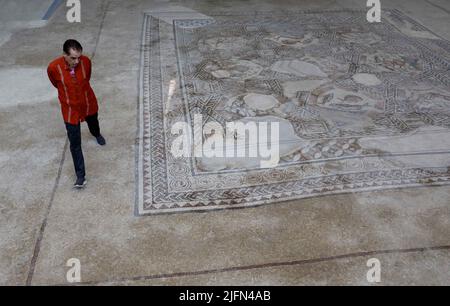 LOD, Tel Aviv in Zentral-Israel. 4.. Juli 2022. Ein Mann betrachtet das Mosaik von Lod im Archäologischen Zentrum von Lod Mosaic in Lod, einer Stadt östlich von Tel Aviv in Zentral-Israel, 4. Juli 2022. Das Archäologische Zentrum von Lod Mosaic wurde erbaut, um die einzigartigen Mosaiken aus der römischen Zeit auszustellen. Quelle: Gil Cohen Magen/Xinhua/Alamy Live News Stockfoto