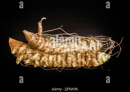 Süße knusprige Jerusalem Artischocken Knolle isoliert auf schwarzem Hintergrund. Stockfoto