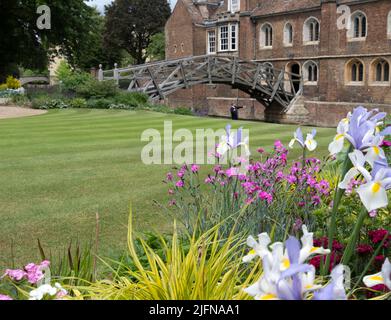 Mathematical Bridge Cambridge in England, Großbritannien Stockfoto