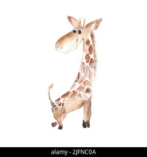 Baby Giraffe isoliert auf weißem Hintergrund. Aquarell handgezeichnete Illustration. Stockfoto