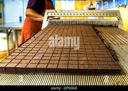 Schneiden der Nougat-Pralinen in der Chocolaterie Frigoulette. Die geschnittene Praline kommt ohne zusätzliche Schokoladenschale. Bei der Herstellung aus Beaufort-sur-Gervanne (die, Frankreich) werden ausschließlich zertifizierte Bio- und Fairtrade-Kakaobohnen aus Sao Tomé verwendet. Stockfoto