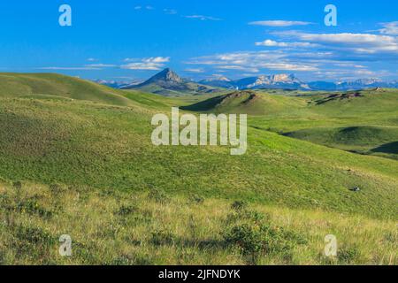 Prairie-hügel unterhalb der Rocky Mountain Front in der Nähe von Augusta, Montana Stockfoto