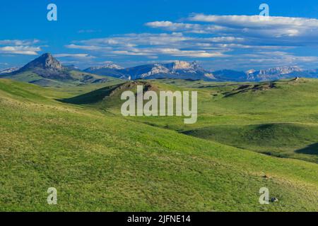 Prairie-hügel unterhalb der Rocky Mountain Front in der Nähe von Augusta, Montana Stockfoto