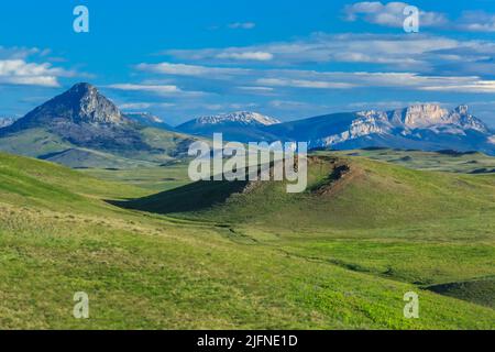 Prairie-hügel unterhalb der Rocky Mountain Front in der Nähe von Augusta, Montana Stockfoto