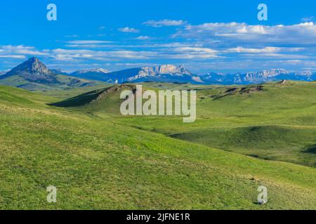 Prairie-hügel unterhalb der Rocky Mountain Front in der Nähe von Augusta, Montana Stockfoto