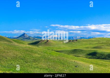 Prairie-hügel unterhalb der Rocky Mountain Front in der Nähe von Augusta, Montana Stockfoto