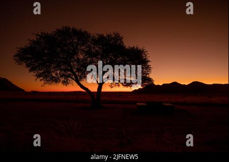 Sonnenuntergang hinter Bäumen in Afrika Stockfoto