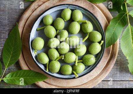 Frische grüne unreife Walnüsse - Zutat für hausgemachten Nusslikör Stockfoto