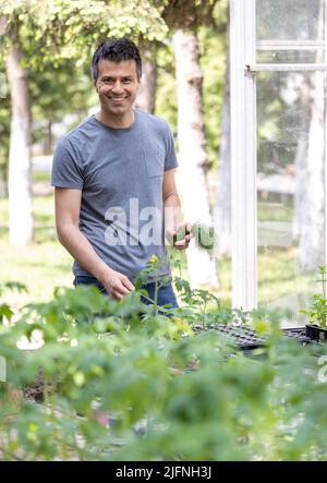 Ein gutaussehender lächelnder Bauer, der auf der Plantage vor dem Gewächshaus steht und im Frühling die Gemüsepflanzen und Kräuter im Garten kontrolliert Stockfoto