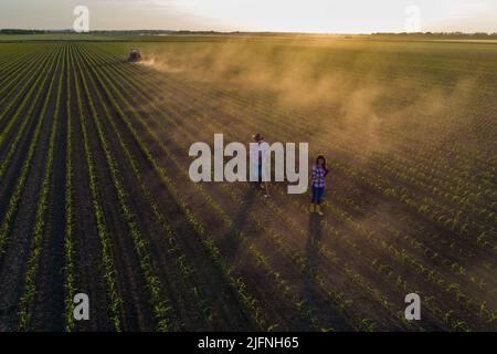 Luftbild von einem älteren Landwirt, der mit Hacke im Maisfeld arbeitet, und einer Geschäftsfrau, die mit einem Traktor im Hintergrund beaufsichtigt, von einer Drohne aus schießen Stockfoto