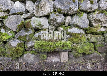 Beispiel eines quadratischen Schmores in einer trockenen Kalksteinwand, Teil einer Trockensteinmauer, Shibden Park, Halifax, Yorkshire, Großbritannien. Stockfoto