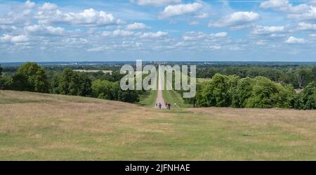 Blick vom Snow Hill auf den langen Weg in Richtung Windsor Castle, Windsor Great Park, Großbritannien. Stockfoto