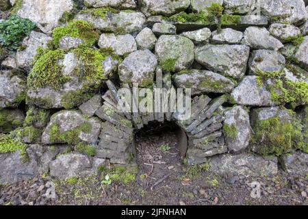 Beispiel eines kreisförmigen Ausschmierens in einer trockenen Kalksteinwand, Teil einer Trockensteinmauer, Shibden Park, Halifax, Yorkshire, Großbritannien. Stockfoto