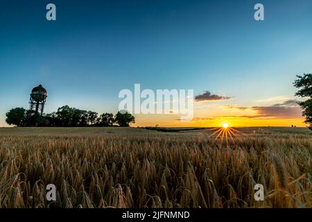 Schöner Sonnenuntergang am alten Wasserbehälter Lanstroper Ei. Die untergehende Sonne lässt das Maisfeld vor ihm erstrahlen. Stockfoto