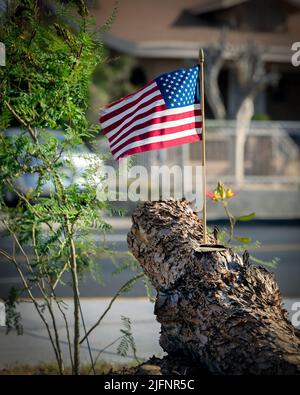 Eine amerikanische Flagge sitzt in einem Baumstamm, der im Wind weht, im Viertel Five Points von El Paso, Texas. Stockfoto