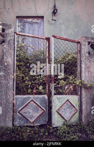 Ein altes rostig offenes Tor in einem verlassenen ländlichen Haus, das von wild wachsender Vegetation bedeckt ist. Vertikales Foto mit entsätteten Farben Stockfoto