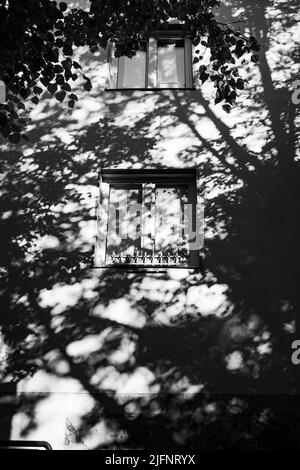 Eine monochrome Aufnahme der Schatten der Bäume, die sich auf dem Gebäude in Stockholm, Schweden, spiegelte Stockfoto