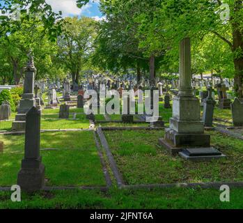 Sommeransicht eines historischen Friedhofs in der Stadt St. John's Stockfoto