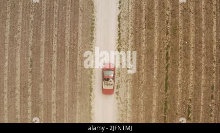 Wüste Natur.Aktion.Ein verlassenes Feld mit Dickicht und einer Straße, auf der ein teures fremdes Auto fährt, und man kann die Stadt hinter dem Nebel sehen. Stockfoto