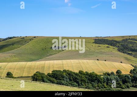 Blick auf Kingston Ridge in den South Downs, an einem sonnigen Sommertag Stockfoto