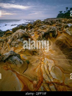 Sandstone, Del Mar Ecological Preserve, Sea Ranch, Sonoma Coast, Sonoma County, California Sonoma County, Kalifornien Stockfoto